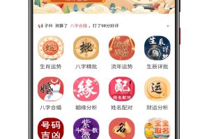 2025蛇年最新修复版周易测算网源码